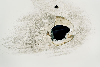 Deal with Drywall Mold Growth Fast
